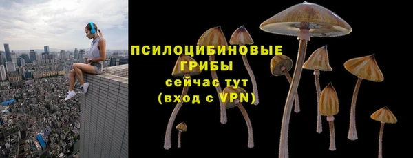 крисы Армянск
