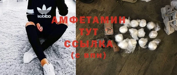 крисы Армянск