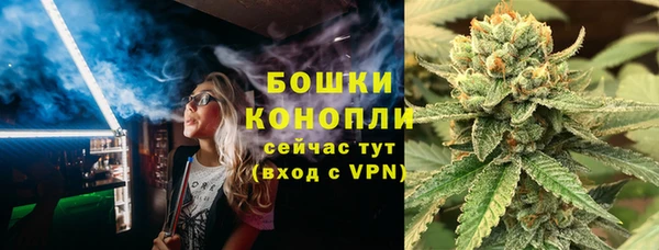 крисы Армянск