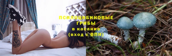 гашик Арсеньев
