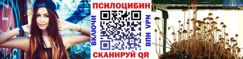 Галлюциногенные грибы Magic Shrooms  Новое Девяткино 